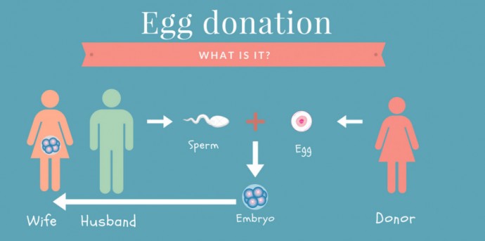 embryo adoption process in india